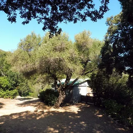 En Corse Du Sud Chalet Porto-Vecchio (Corsica)