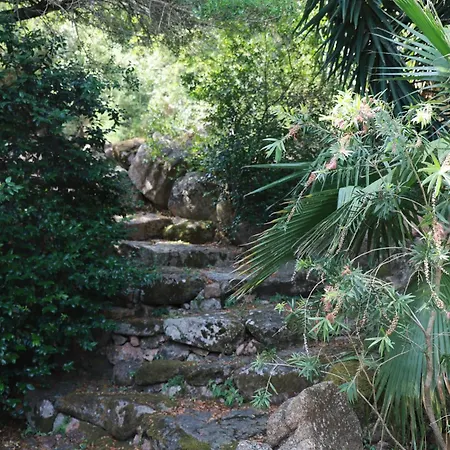 En Corse Du Sud *