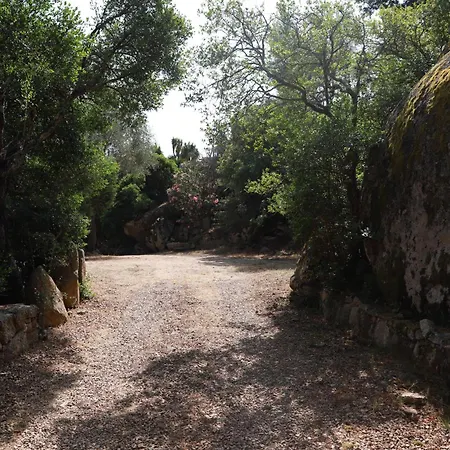 木屋 En Corse Du Sud *
