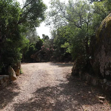 Chalet En Corse Du Sud *