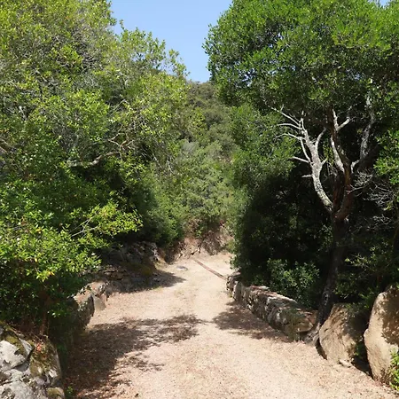 Chalet En Corse Du Sud